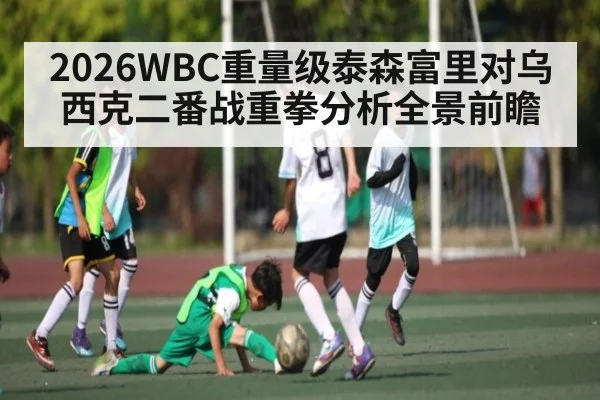 2026WBC重量级泰森富里对乌西克二番战重拳分析全景前瞻